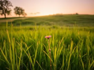 Jak prać len? Kilka wskazówek i najlepsze metody pielęgnacji